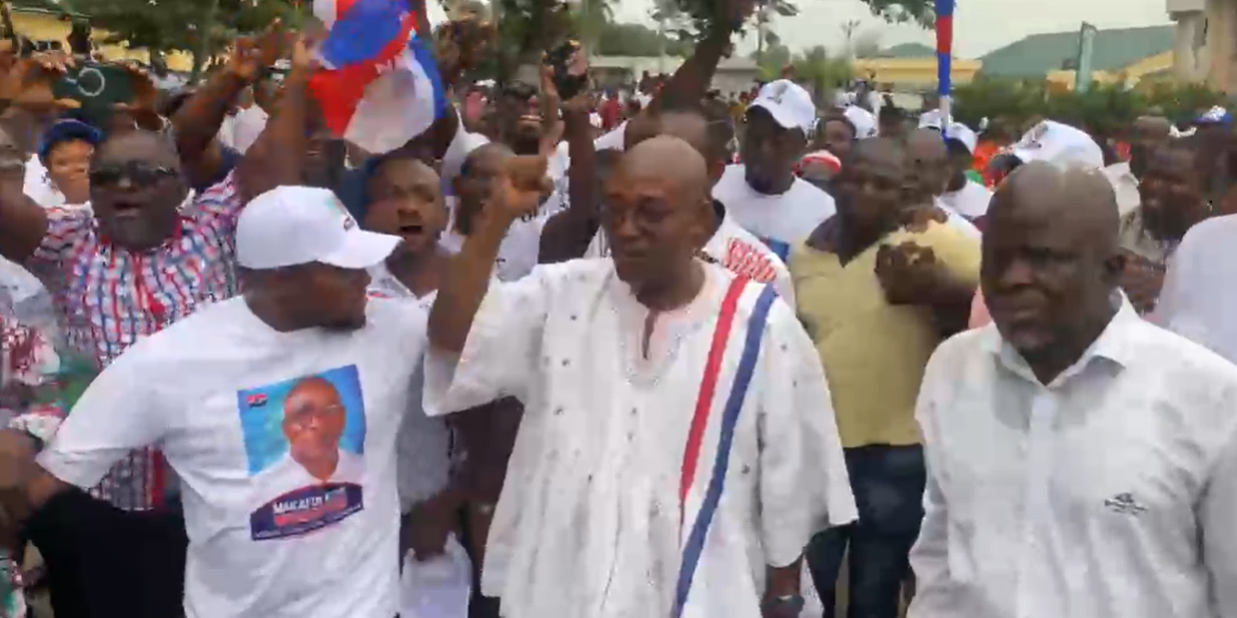 NPP Volta polls: Makafui Woanyah retains Regional Chairmanship