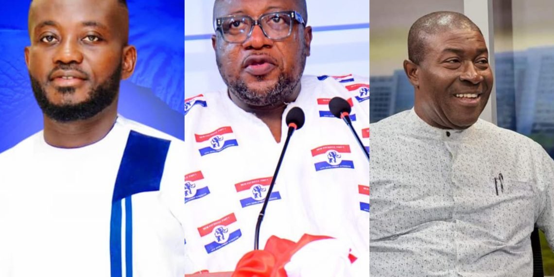 Meet the three newly elected NPP Vice Chairpersons